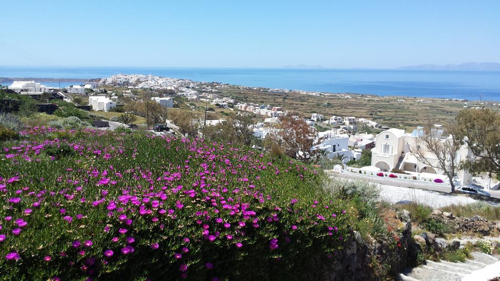Alonistra Oia Houses Foinikiá Exterior foto