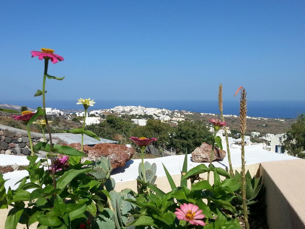 Alonistra Oia Houses Foinikiá Habitación foto
