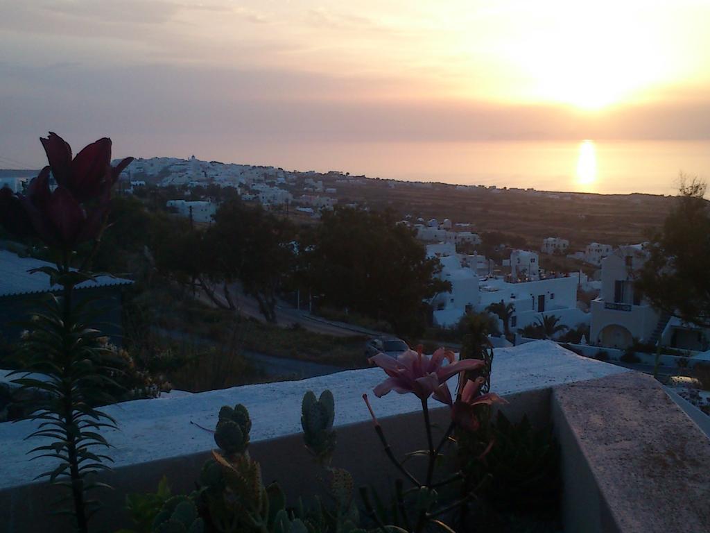 Alonistra Oia Houses Foinikiá Habitación foto
